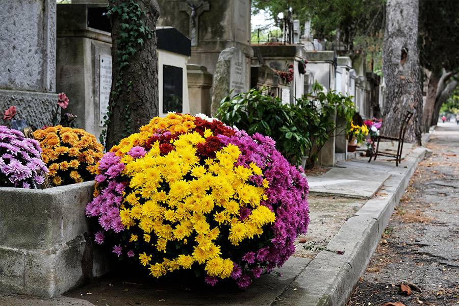 Fleurs d'enterrement Seine-et-Marne